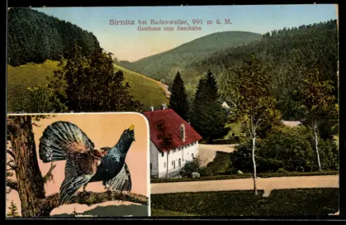 AK Sirnitz, Gasthaus zum Auerhahn