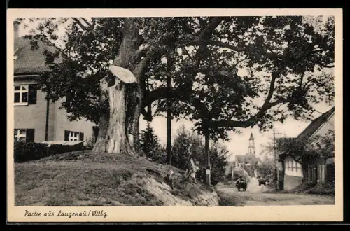 AK Langenau /Wttbg., Ortspartie mit Kirche