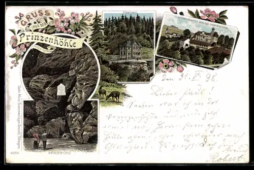 Lithographie Hartenstein, Forsthaus, Schönburgisches Schloss und Prinzenhöhle