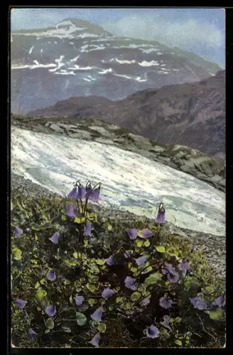 Künstler-AK Photochromie Nr. 524: Soldanelle, Soldanella alpina