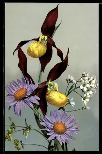 AK Photochromie Serie H. Nr. 490: Alpenflora, verschiedene Blüten