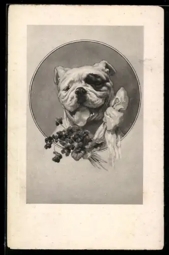 AK Portrait einer Bulldogge mit hängender Zunge