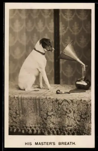 AK Hund vor dem Schalltrichter von einem Grammophon