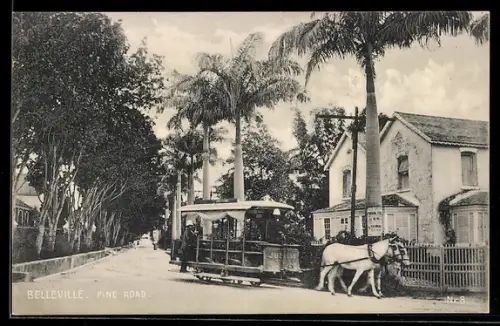 AK Belleville, Pine Road, Pferdebahn