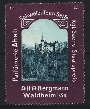 Reklamemarke Waldheim / Sachsen, Parfümerie Ahab Schwefel-Teer-Seife, Schloss Ehrenberg