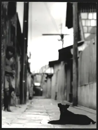 Fotografie Hermann Engel, Köln-Klettenberg, Weisshausstr. 36, Schwarzer Hund auf einer Strasse in Malaysia