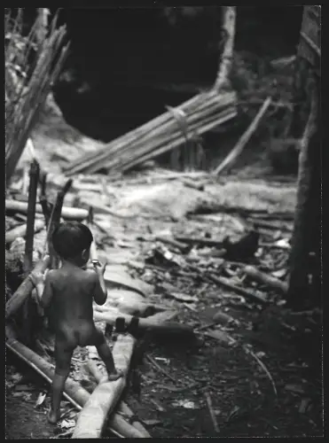 Fotografie Hermann Engel, Köln-Klettenberg, Weisshausstr. 36, Malaysien, Kleinkind läuft über Äste