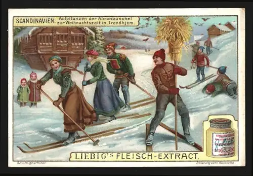 Sammelbild Liebig, Skandinavien, Aufpflanzen der Ährenbüschel zur Weihnachtszeit in Trondheim