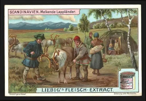 Sammelbild Liebig, Skandinavien, Melkende Lappländer