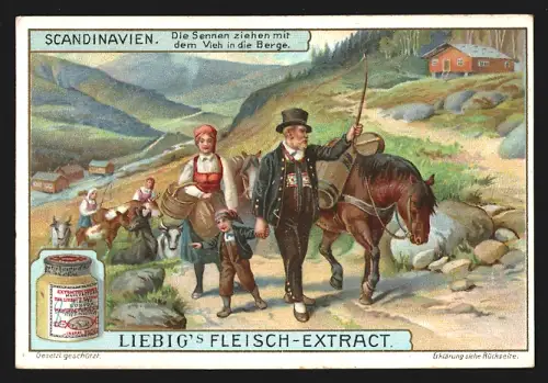Sammelbild Liebig, Skandinavien, Die Sennen ziehen mit dem Vieh in die Berge