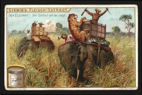 Sammelbild Liebig, Der Elefant, Der Elefant auf der Jagd
