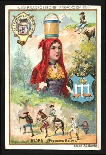 Sammelbild Liebig, Französische Provinzen, Bearn, Pyrenäen-Reise