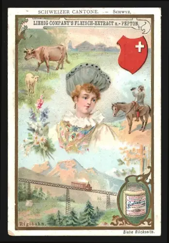 Sammelbild Liebig, Schweizer Kantone, Schwyz, Eisenbahnbrücke, Wappen