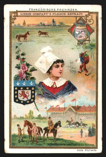 Sammelbild Liebig, Französische Provinzen, Poitou, Dame in Tracht