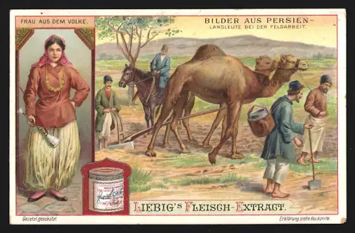 Sammelbild Liebig, Bilder aus Persien, Landleute bei der Feldarbeit