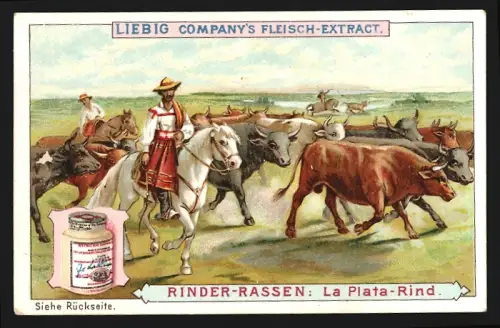 Sammelbild Liebig, Rinder-Rassen, La Plata-Rind