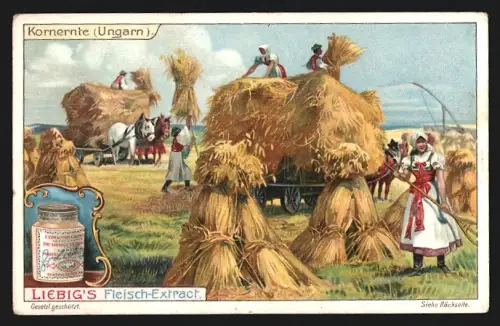 Sammelbild Liebig, Fleisch-Extrakt, Ungarische Bauern bei der Kornernte