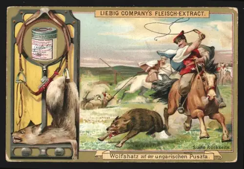 Sammelbild Liebig, Fleisch-Extrakt, Wolfshatz auf der ungarischen Puszta