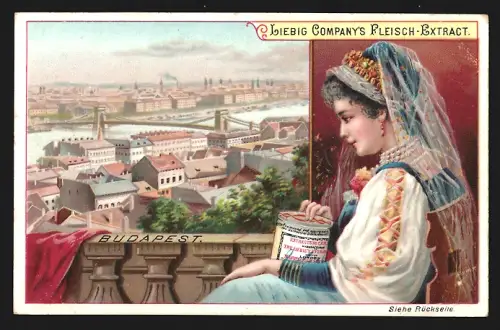Sammelbild Liebig, Fleisch-Extrakt, Teilansicht von Budapest mit hübscher Dame im Passepartout