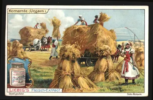 Sammelbild Liebig, Fleisch-Extrakt, Bauern bei der Kornernte in Ungarn
