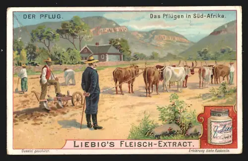 Sammelbild Liebig, Fleisch-Extrakt, Das Pflügen in Süd-Afrika, Ochsenpflug