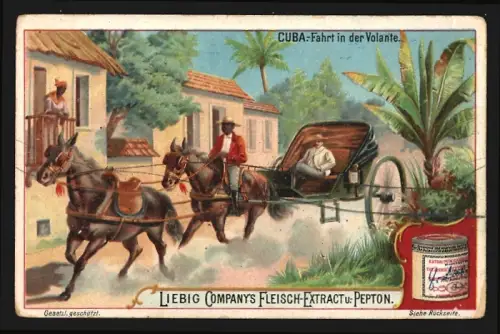 Sammelbild Liebig, Fleisch-Extrakt, Cuba, Fahrt in der Volante