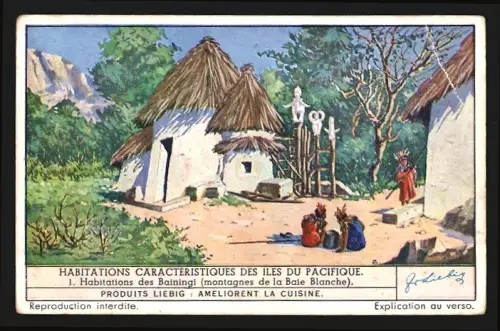 Sammelbild Liebig, Habitations Caracteristiques des Iles du Pacifique, Habitations des Bainingi
