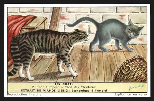 Sammelbild Liebig, Les Chats, Chat Européen, Chat des Chartreux