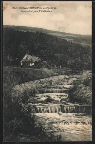 AK Bad Schwarzbach, Landschaft am Förstersteg