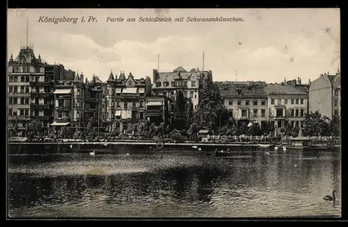 AK Königsberg i. Pr., Partie am Schlossteich mit Schwanenhäuschen