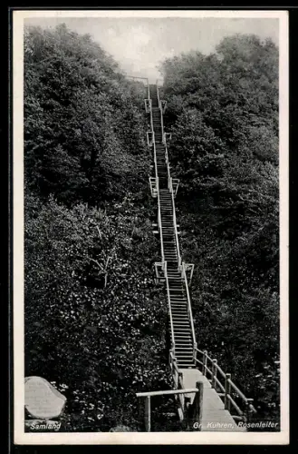 AK Gr. Kuhren, Blick die Rosenleiter hinauf