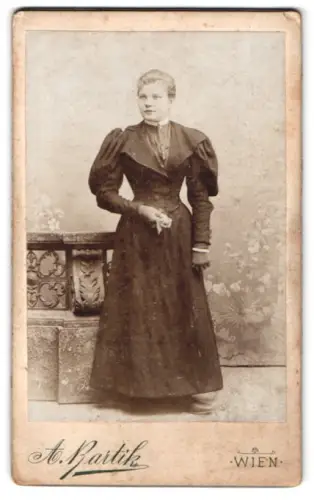Fotografie A. Bartik, Wien, Neulerchenfelderstrasse 61, Dame in elegantem Kleid