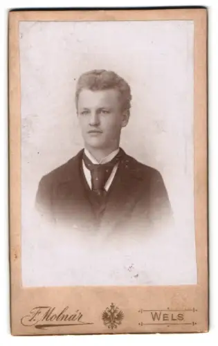 Fotografie F. Molnár, Wels, Westbahnstrasse 10, Porträt von Friedrich Kummer im Jahr 1895