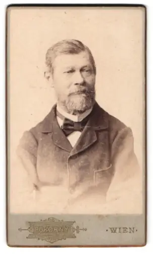 Fotografie Pokorny, Wien, Kohlmarkt 7, Porträt von Walter mit Bart
