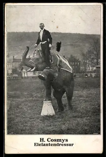 AK H. Cosmys Elefantendressur für den Zirkus