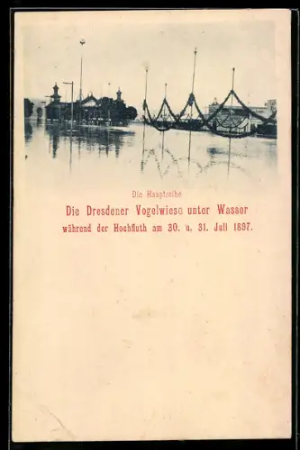 AK Dresden, Dresdener Vogelwiese, Hochwasser im Jahr 1897