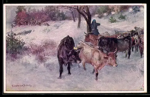 AK Rotes Kreuz Nr. 497: Franz Baumann mit Schlachtvieh auf dem Rückweg unter Feuerbeschuss