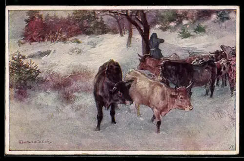 AK Rotes Kreuz Nr. 497: Franz Baumann mit Schlachtvieh auf dem Rückweg unter Feuerbeschuss