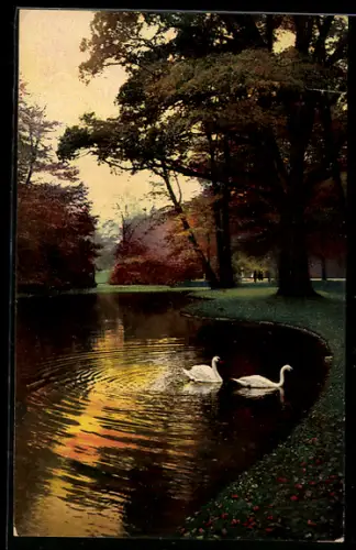 AK Photochromie NR 4208: Grosser Garten im Herbst, Teichpartie mit Schwänen