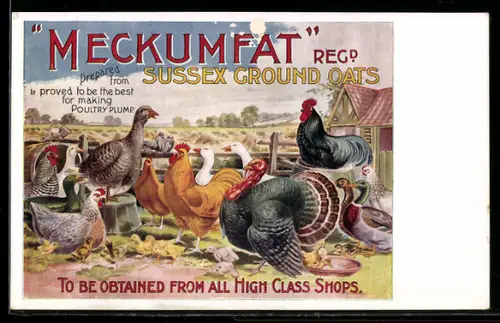 AK Burton-on-Trent, T. C. Grennsmith & Sons, Ltd., Meckumfat Regd., Sussex Ground Oats, Federvieh auf dem Hof, Reklame