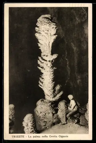 AK Trieste, La palma nella Grotta Gigante