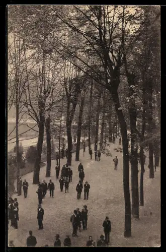 AK Como, Viale Pubblico del Giardino Reale