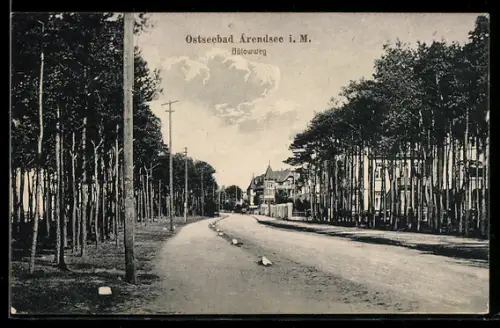 AK Arendsee i. M., Der Bülowweg
