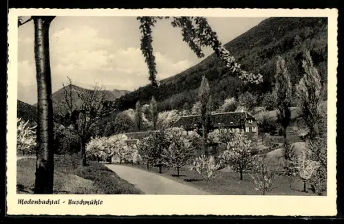 AK Buschmühle /Modenbachtal, Buschmühle, Bes. Hermann Hünerfauth