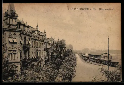 AK Ludwigshafen a. Rh., Rheinvorland, Wohnhäuser, Rheinufer