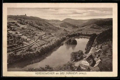 AK Bad Dürkheim /Pfalz, Herzogsweiher, Landschaftspanorama