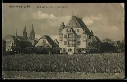 AK Geisenheim a. Rh., Blick auf das Schönborner Schloss