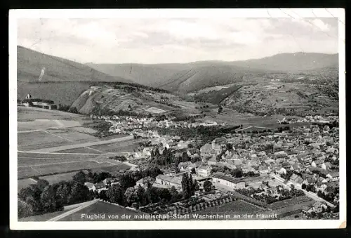 AK Wachenheim, Gesamtansicht