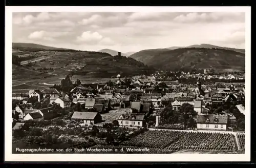 AK Wachenheim a. d. Weinstrasse, Teilansicht, Fliegeraufnahme