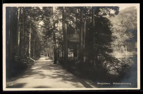 AK Bergzabern, Philosophenweg mit Pavillon